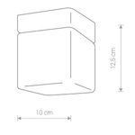 Lampa sufitowa lub kinkiet do łazienki SIS IP44 G9 10cm | czarny