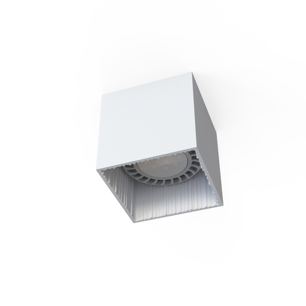 Lampa sufitowa punktowa spot GROOVE I 10W GU10 ES111 75W | biały