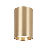 GENESIS SPOT GOLD 1xGU10 10cm