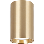 GENESIS SPOT GOLD 1xGU10 10cm