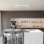 IVI 6 WHITE