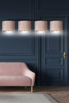 HILDE 4 BL ROSE