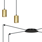 TRAKER 4 BL/GOLD
