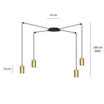TRAKER 4 BL/GOLD