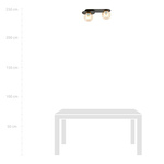 PLAZA 2 BLACK/MIODOWY