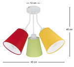 Lampa sufitowa do pokoju dziecięcego kolorowa Bloom 3