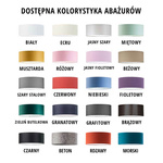Lampa sufitowa dla dziewczynki i chłopca na wysięgniku Newa 
