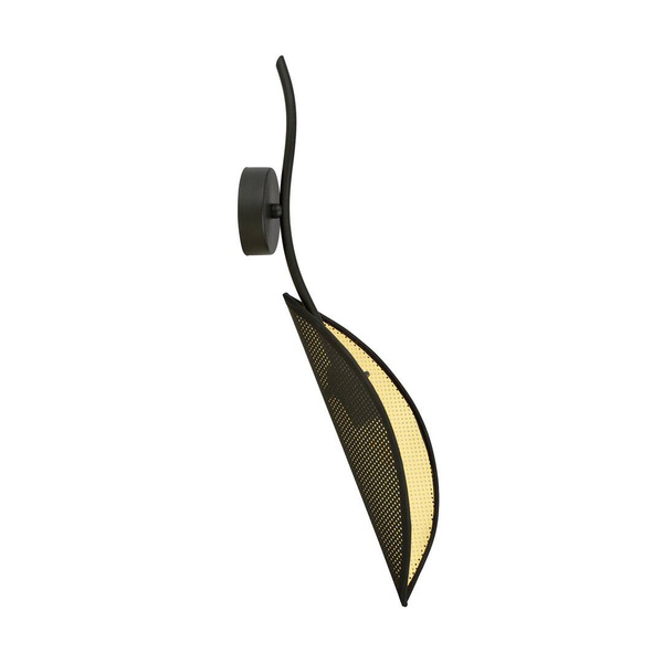 LOTUS K1 BLACK/GOLD
