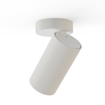 Lampa natynkowa sufitowa MONO I WHITE/GOLD 10W GU10 | biały złoty