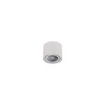 Lampa sufitowa/spot BIT WHITE S śr.11cm