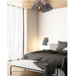 Lampa sufitowa AWINION IV new 9716
