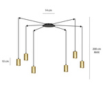 TRAKER 6 BL/GOLD