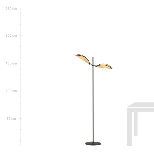 VENE LP2 BLACK/RATTAN