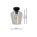 Nowoczesna lampa sufitowa plafon SANTIAGO CLEAR MLP6602