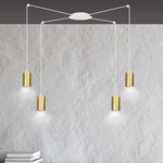 TRAKER 4 WH/GOLD