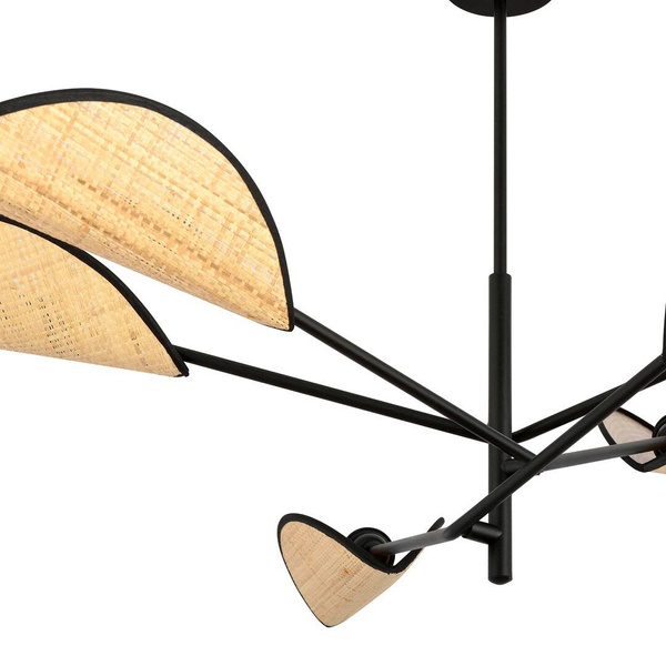 VENE 6 BLACK/RATTAN