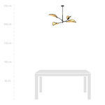 LOTUS 4 BLACK/RATTAN