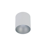 Spot sufitowy designerski tuba POINT TONE biały/srebrny śr. 12,7 cm