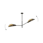 VENE 2 BLACK/GOLD