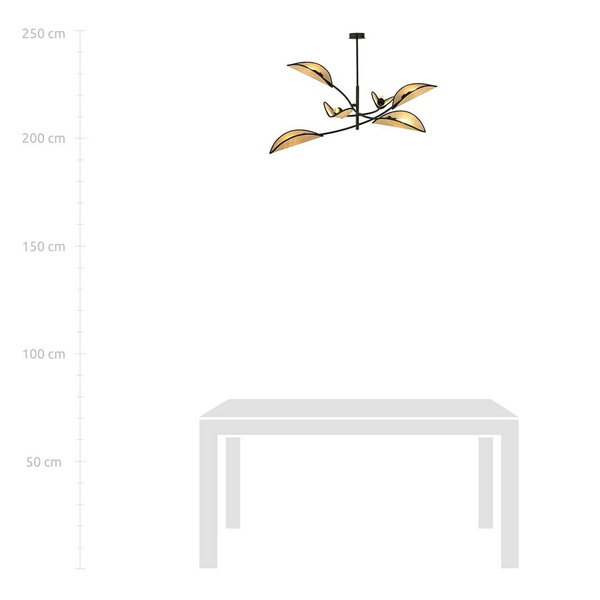 LOTUS 6 BLACK/RATTAN