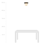 PLAZA 1 BLACK/MIODOWY