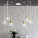 TRAKER 6 WH/GOLD