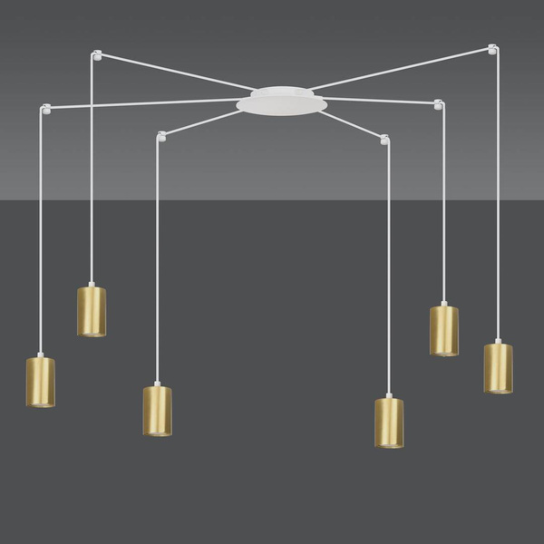 TRAKER 6 WH/GOLD