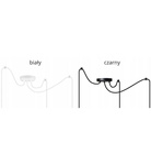 Lampa sufitowa do pokoju chłopca z motywem piłki nożnej typu pająk 2xE27 Led