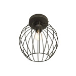 NEST 1 BL