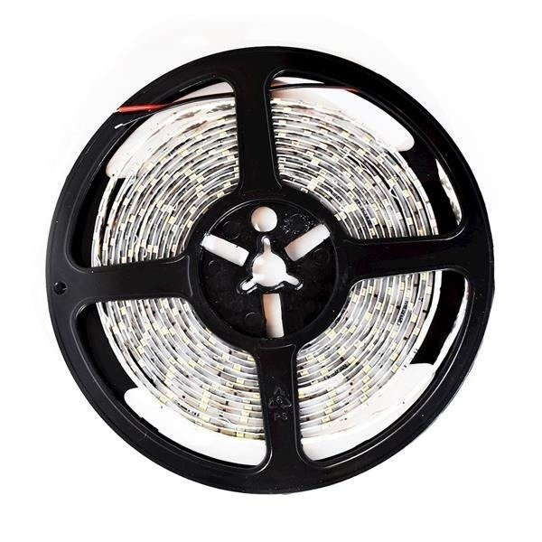 Taśma Pro 60 LED 24W 6000K IP65 (5 metrów) ML4750