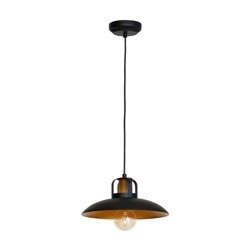 Industrialna Lampa Wisząca FELIX 1xE27 MLP3682