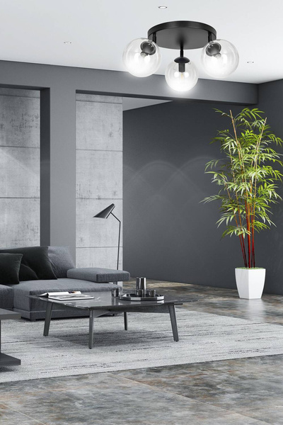 TOFI 3A BL TRANSPARENT PREMIUM