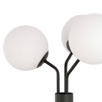 NOVA LP3  BLACK/OPAL