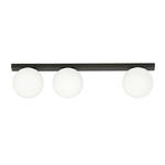 FIT 3 BLACK/OPAL