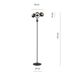 NOVA LP3  BLACK/STRIPE