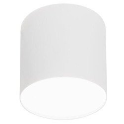 Lampa sufitowa/spot POINT PLEXI WHITE M śr.13cm